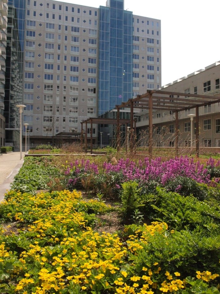 Foto 6 van Koningin Wilhelminaplein 64