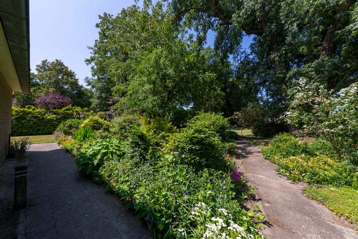 Foto 41 van Kamerikstraat 1-A