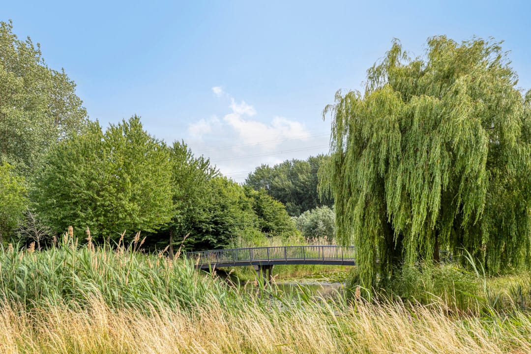 Foto 46 van Zuster Reichertstraat 23