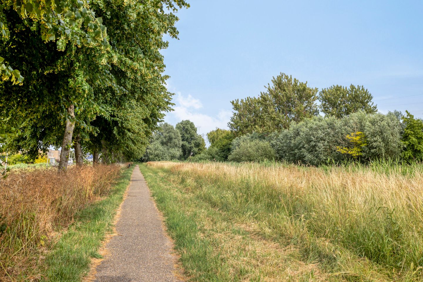 Foto 49 van Zuster Reichertstraat 23