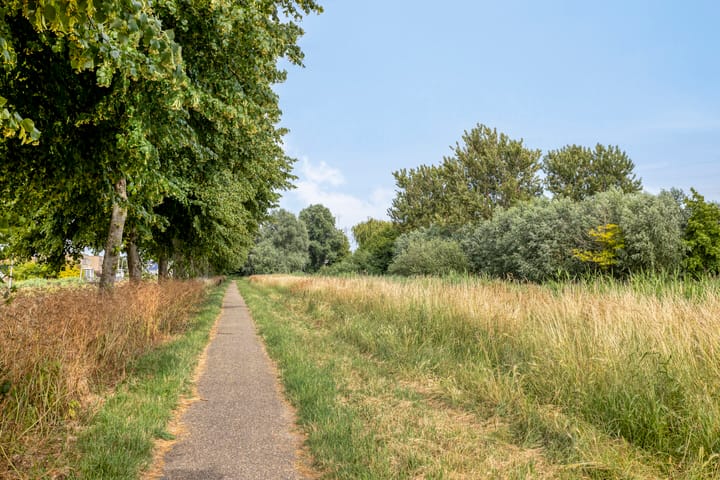 Foto 49 van Zuster Reichertstraat 23