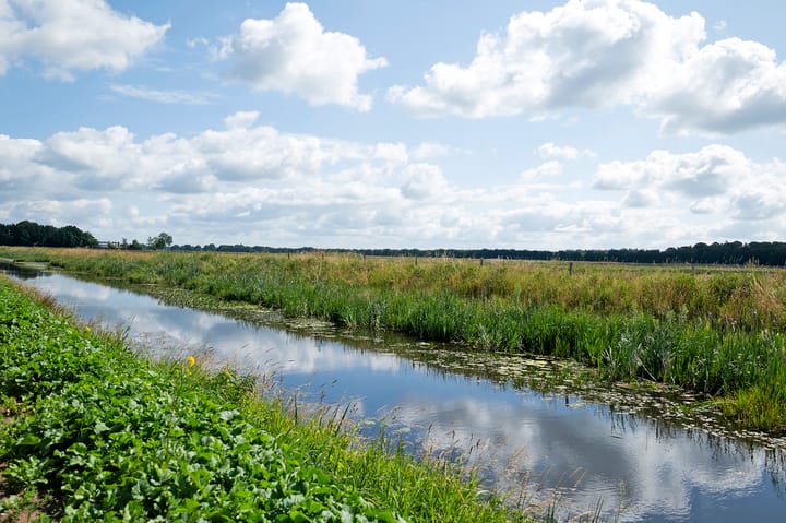 Foto 66 van Verlengde Middenraai 23