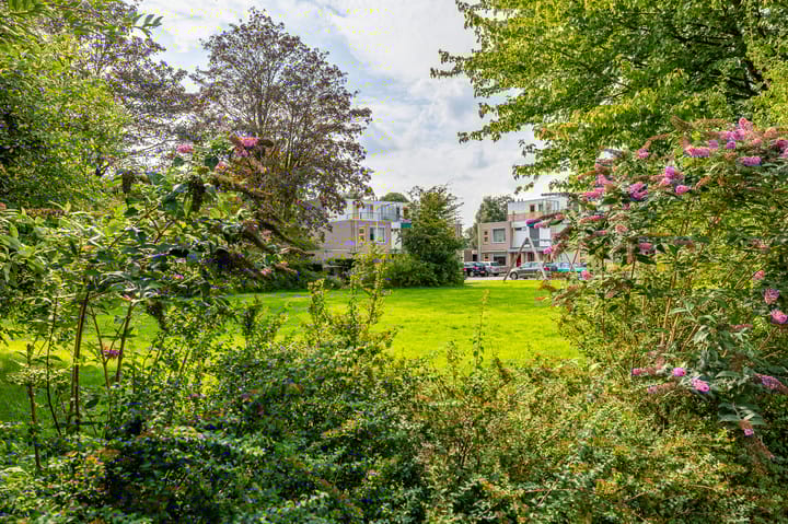 Foto 2 van Van Maerlantlaan 22