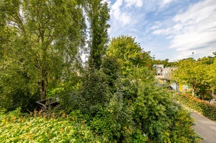 Foto 23 van Van Maerlantlaan 22