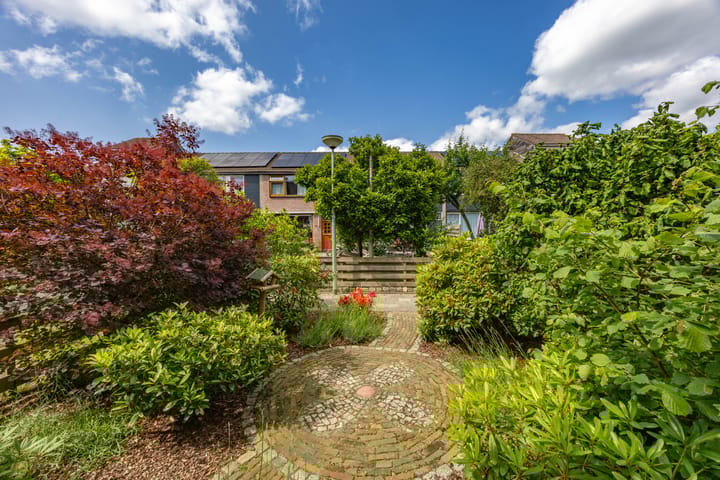 Photo 6 of Knottenplat 38