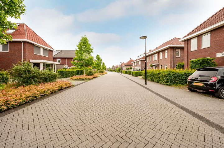 Foto 61 van Troffel 20