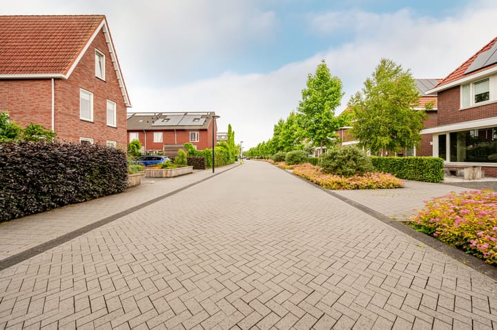 Foto 62 van Troffel 20