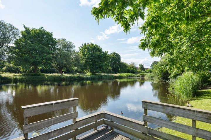 Foto 41 van Hofstukken 44