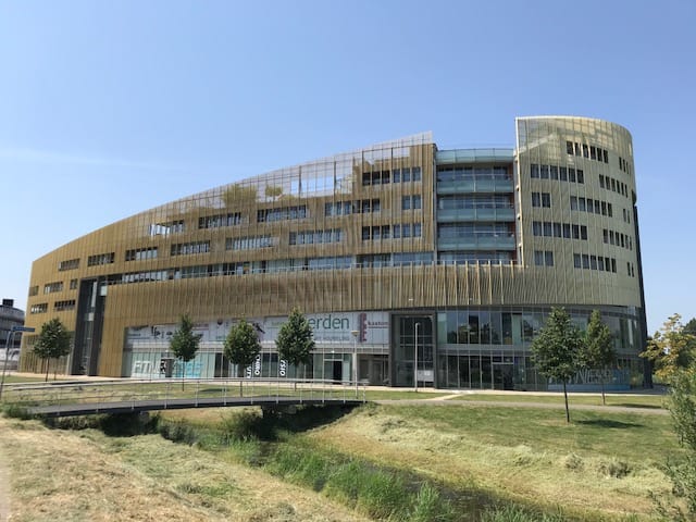 Zuidland 23