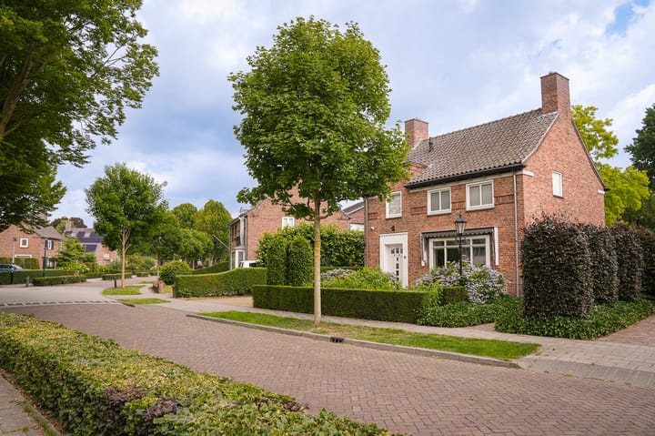 Foto 55 van Harry Bolsiuslaan 8