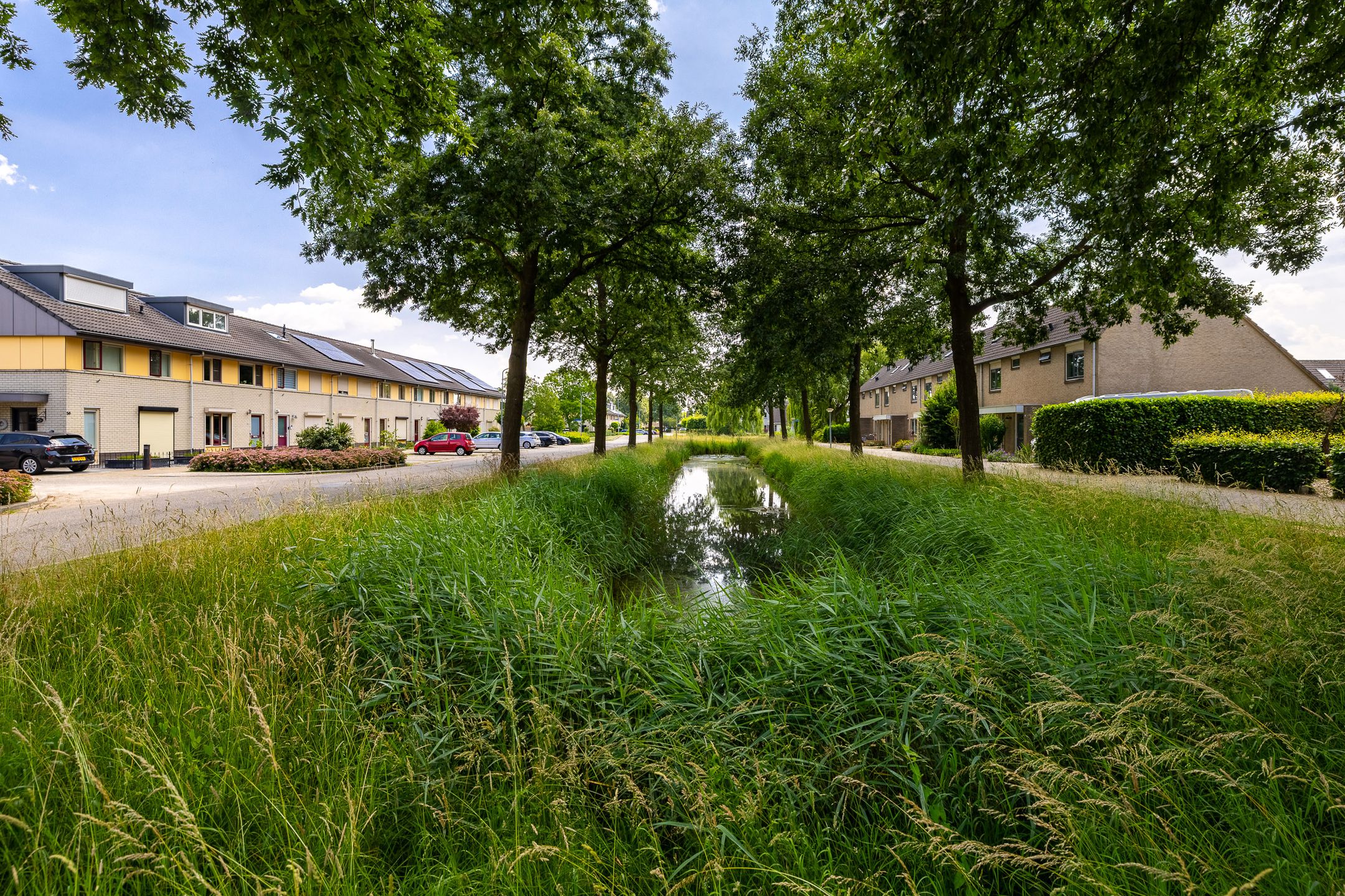 Foto 48 van Kruidenlaan 56