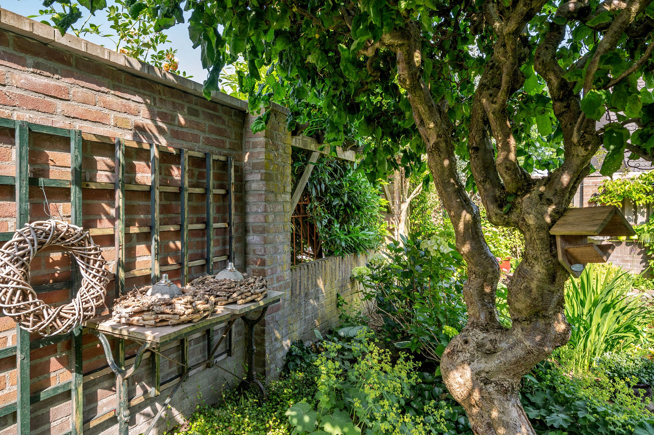 Foto 36 van Oscar Woltersstraat 15