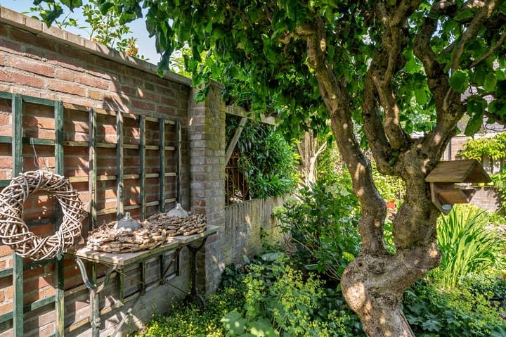 Photo 36 of Oscar Woltersstraat 15