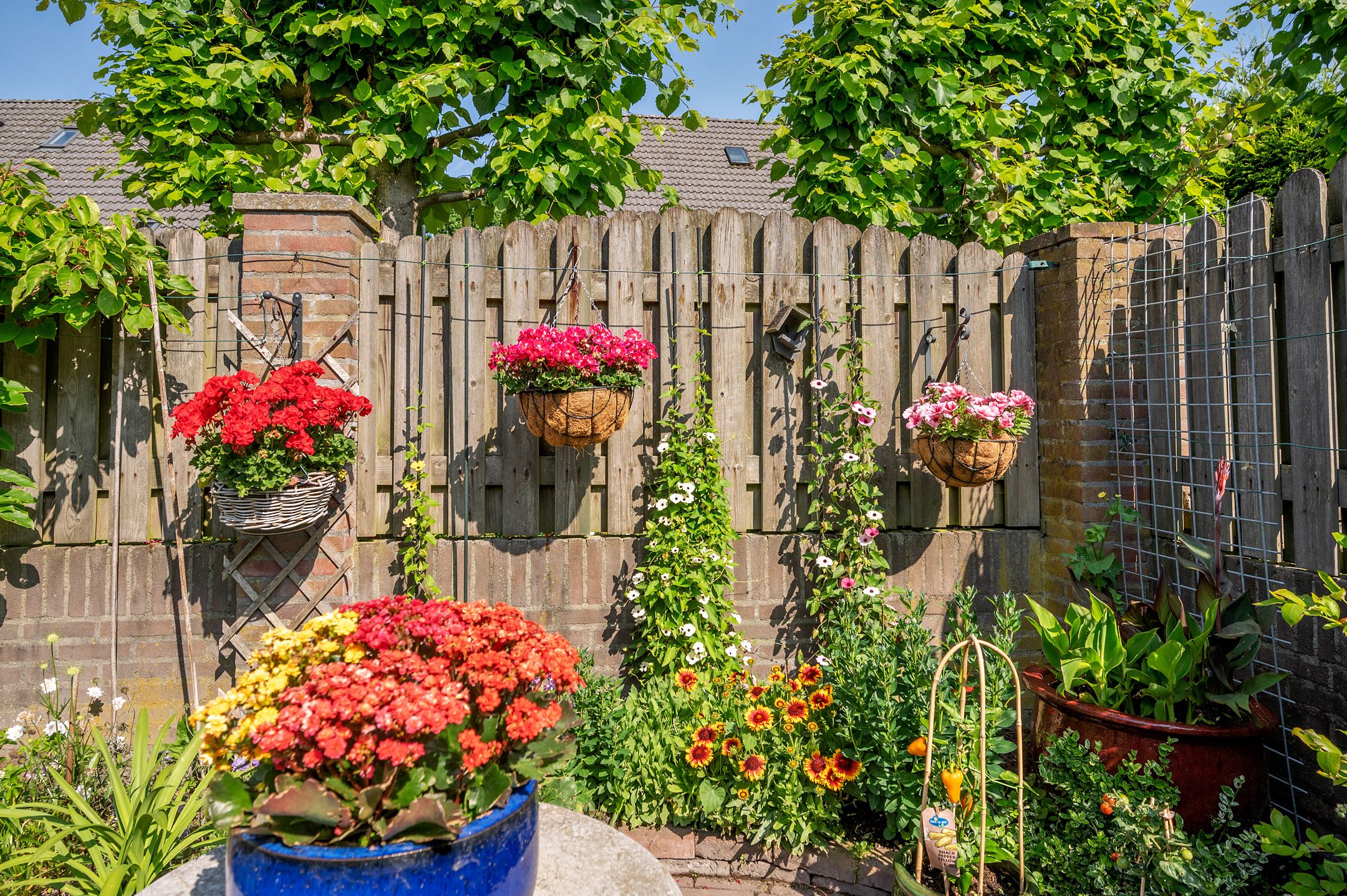 Foto 42 van Oscar Woltersstraat 15