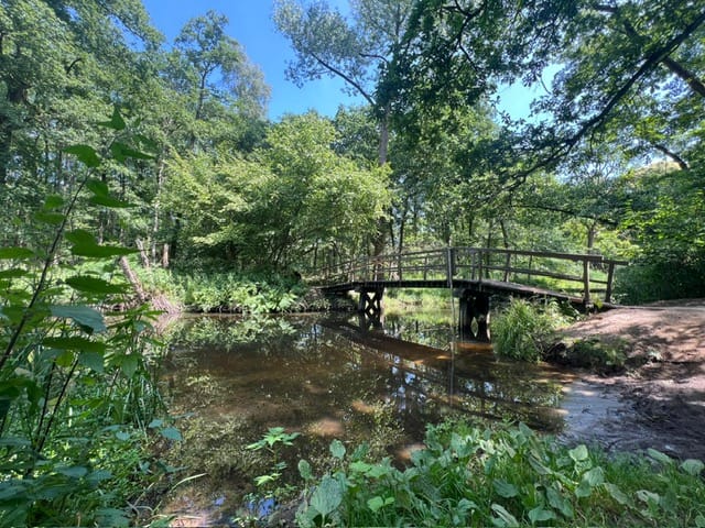 Foto 47 van Holstraat 13