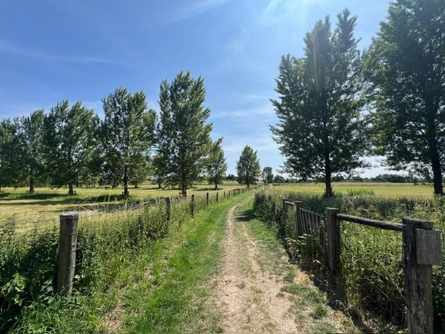 Foto 48 van Holstraat 13