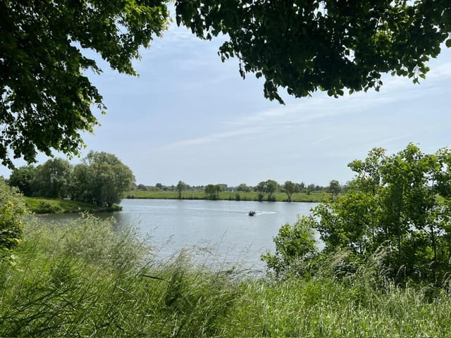 Foto 49 van Holstraat 13