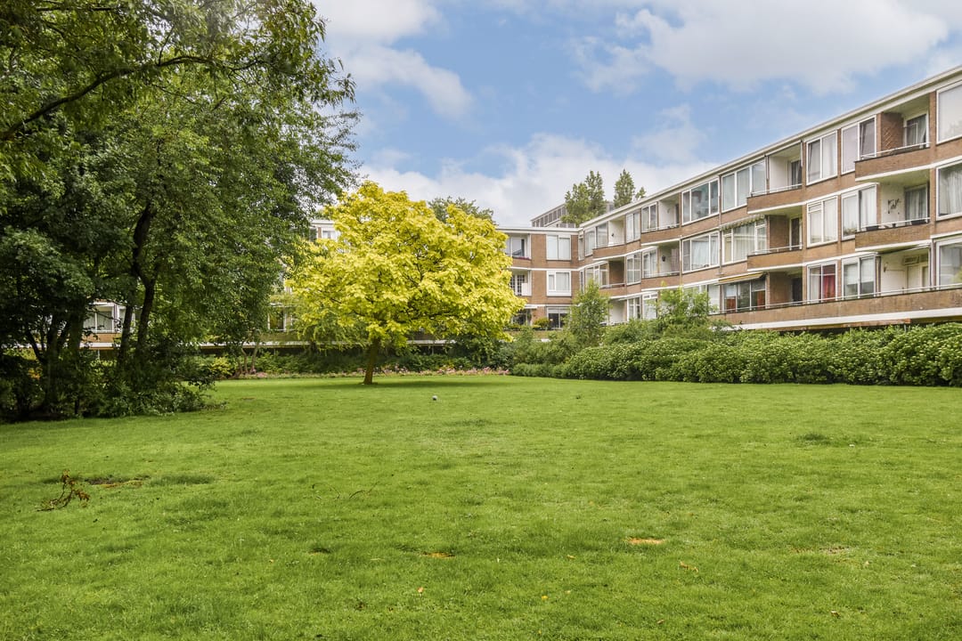 Foto 26 van Meander 827