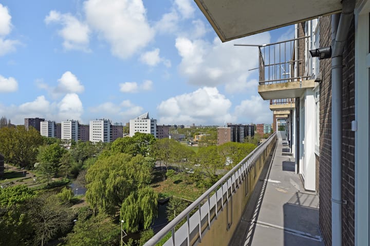 Foto 9 van Loevesteinlaan 899-D