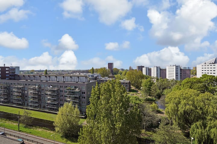 Foto 29 van Loevesteinlaan 899-D