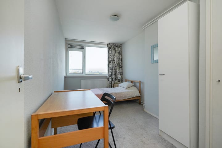 Foto 30 van Loevesteinlaan 899-D