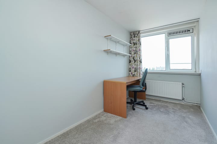 Foto 33 van Loevesteinlaan 899-D