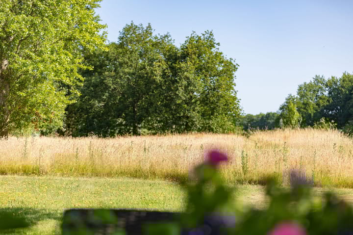 Photo 4 of Dorpsweg 92