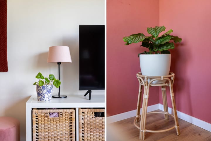 Foto 12 van Boris Pasternak-erf 332