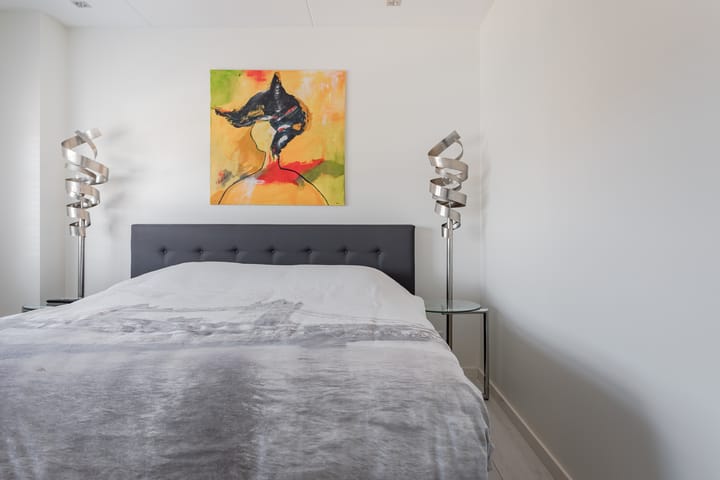 Foto 14 van Watersnip 5