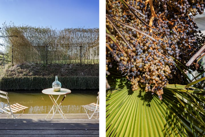 Foto 30 van Watersnip 5