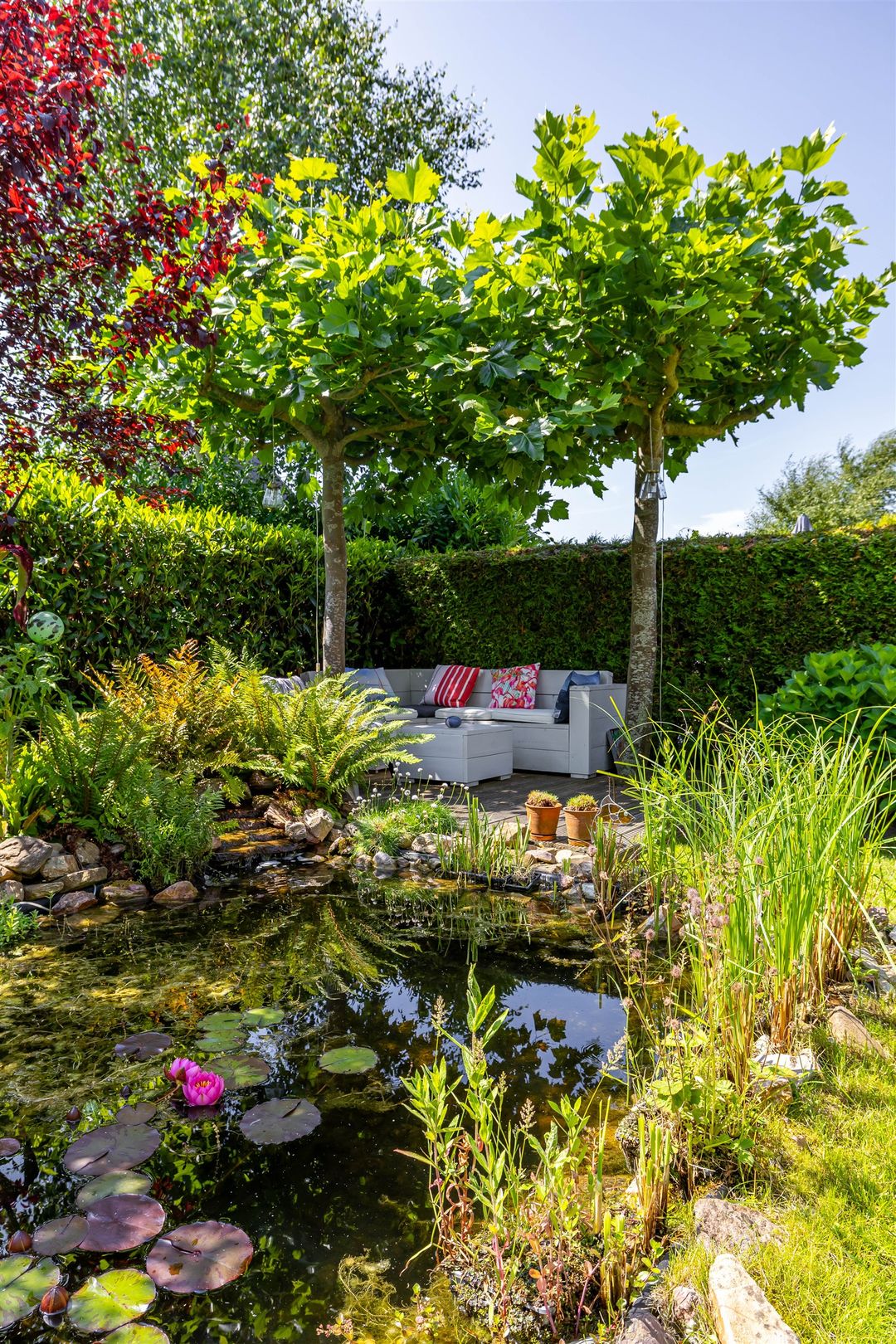 Photo 46 of Kenwerd 11