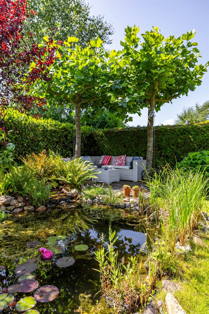 Foto 46 van Kenwerd 11