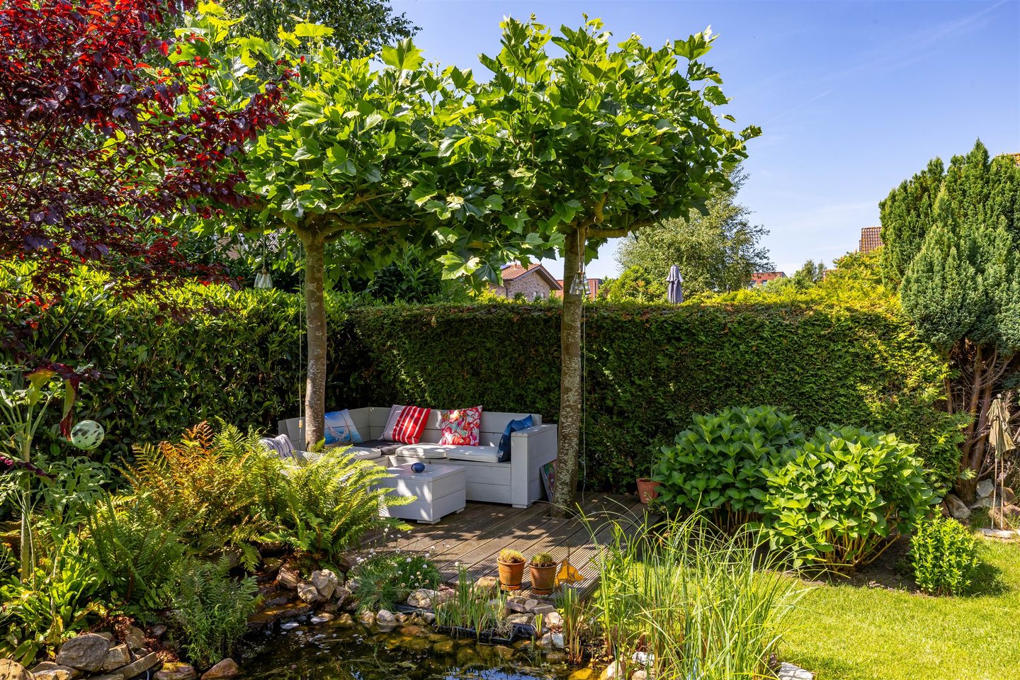 Photo 50 of Kenwerd 11