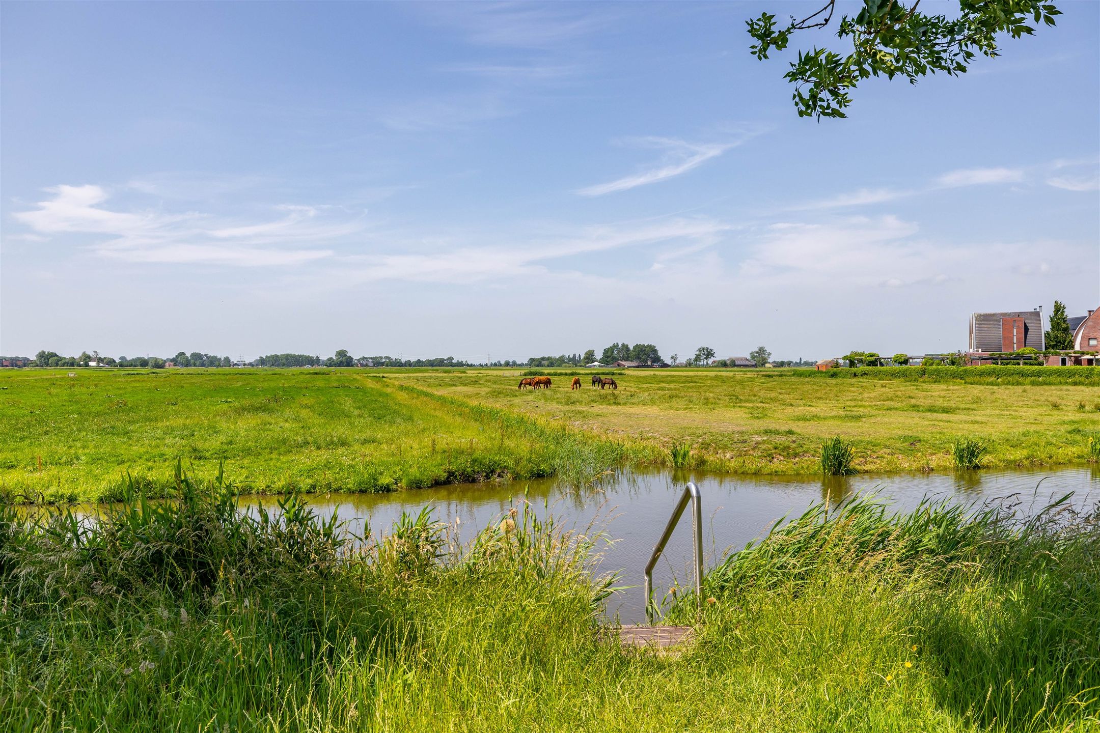 Photo 60 of Kenwerd 11