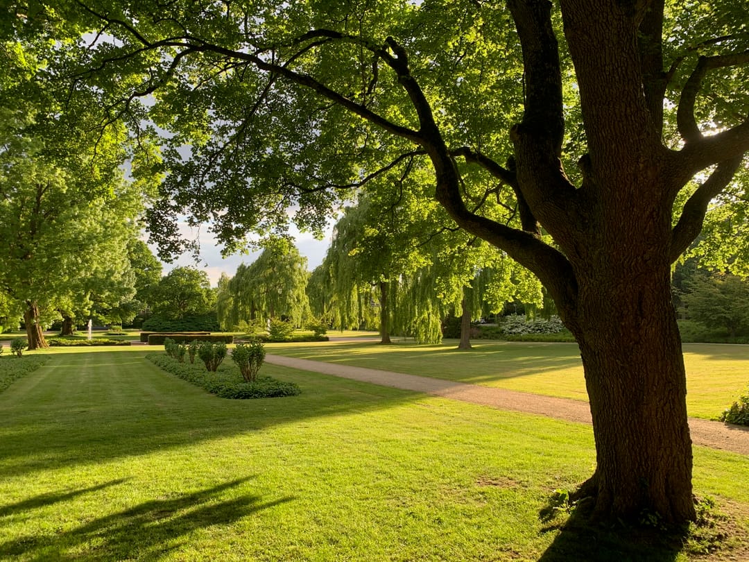 Foto 61 van Badweg 11