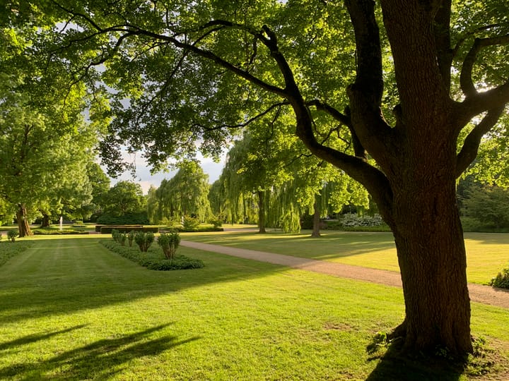 Foto 61 van Badweg 11