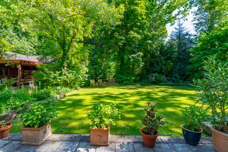 Schapendrift 2 secondary image