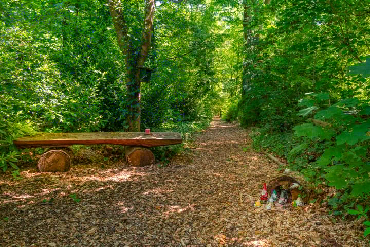 Photo 37 of Schapendrift 2