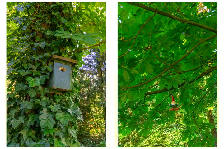 Photo 39 of Schapendrift 2