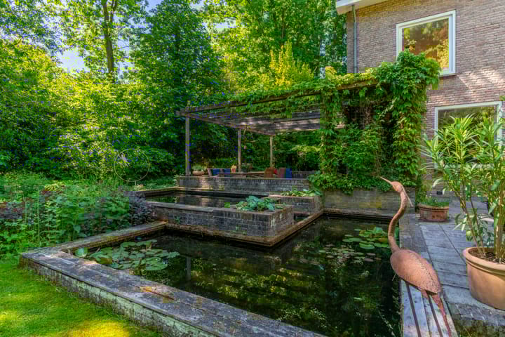 Photo 41 of Schapendrift 2