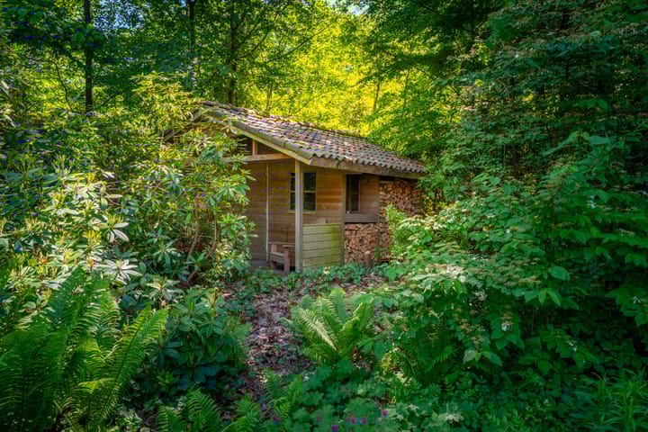 Photo 42 of Schapendrift 2