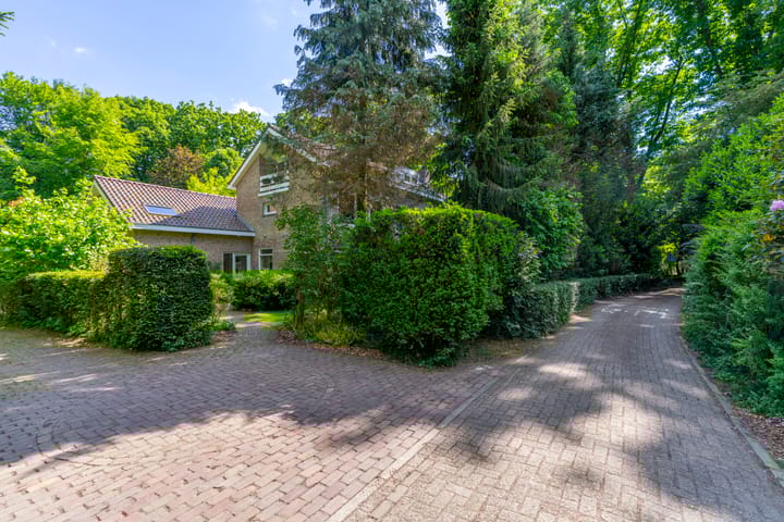 Photo 50 of Schapendrift 2