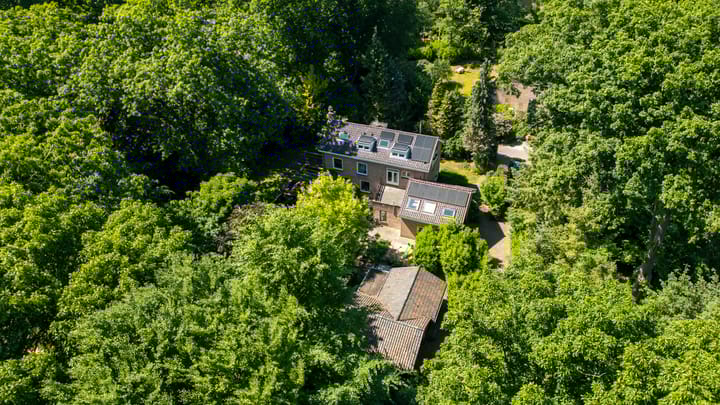 Photo 51 of Schapendrift 2