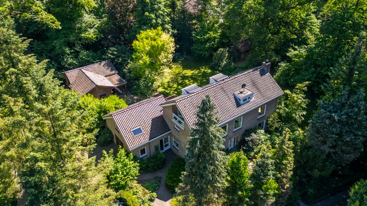 Schapendrift 2 main image