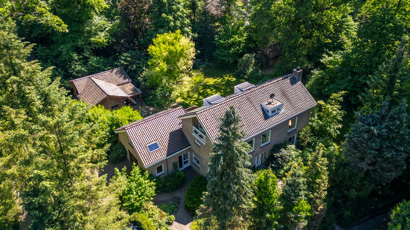 Photo 1 of Schapendrift 2