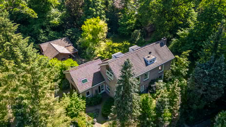 Schapendrift thumbnail