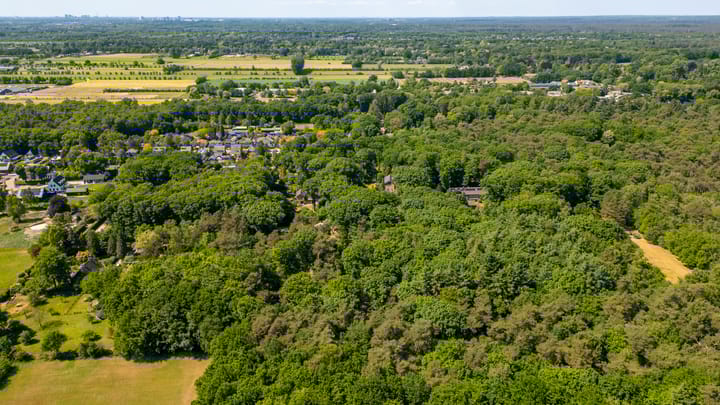 Photo 52 of Schapendrift 2