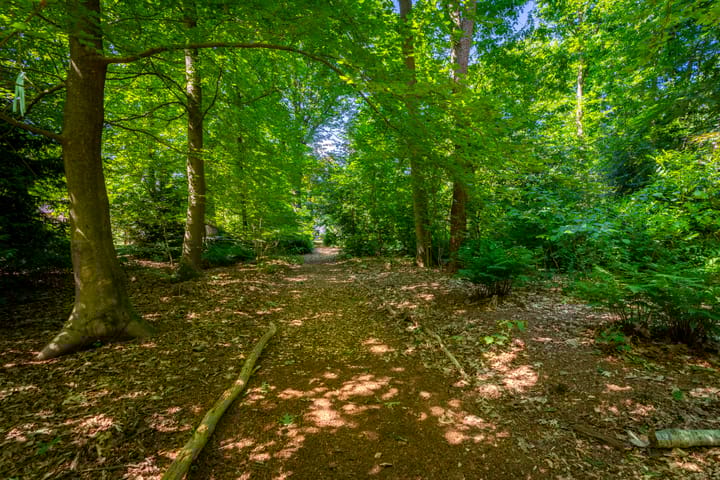 Photo 55 of Schapendrift 2