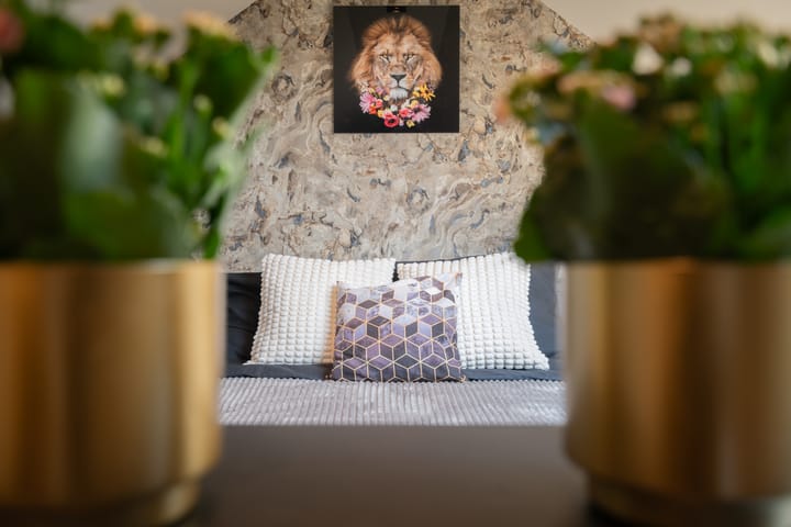 Foto 52 van Hoogstraat 41