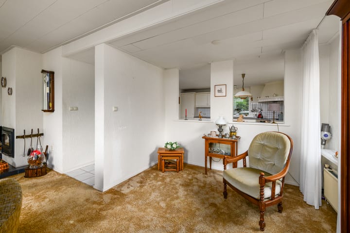 Foto 8 van de Pontsjer 21